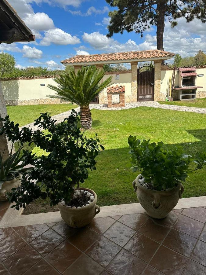 Villa Gold House Luxury Anzio Esterno foto