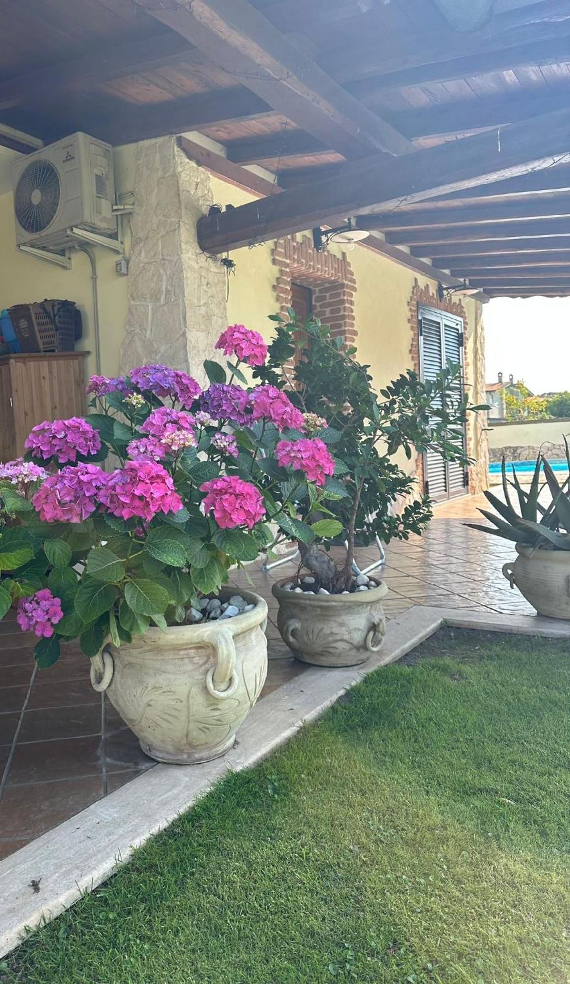 Villa Gold House Luxury Anzio Esterno foto