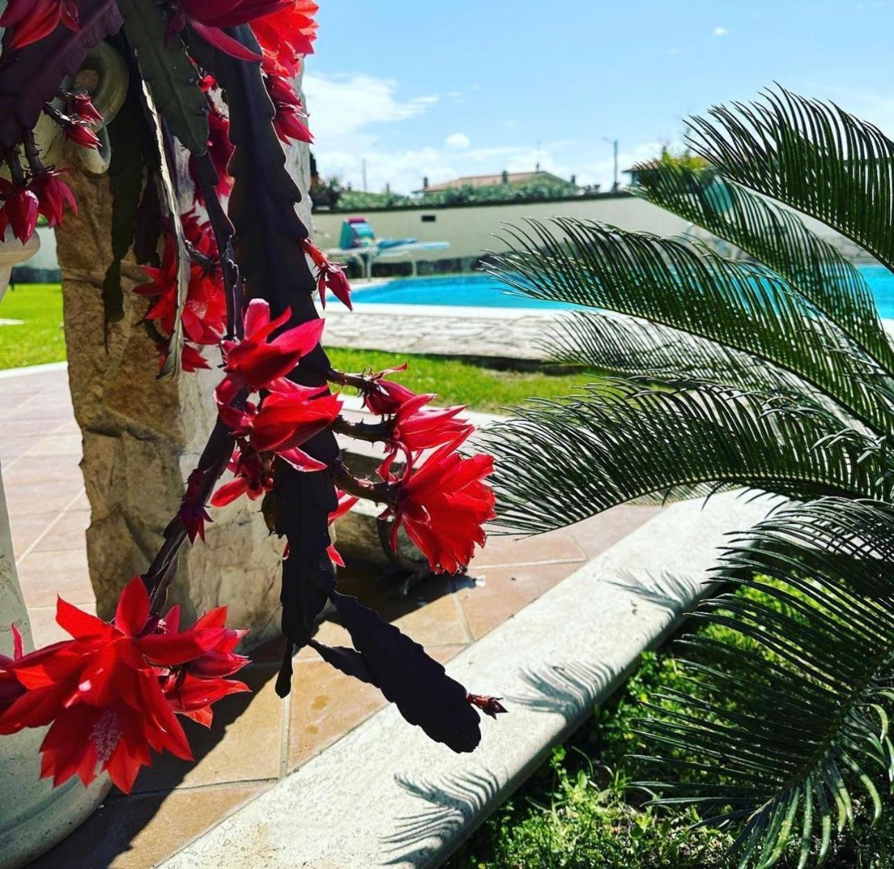 Villa Gold House Luxury Anzio Esterno foto