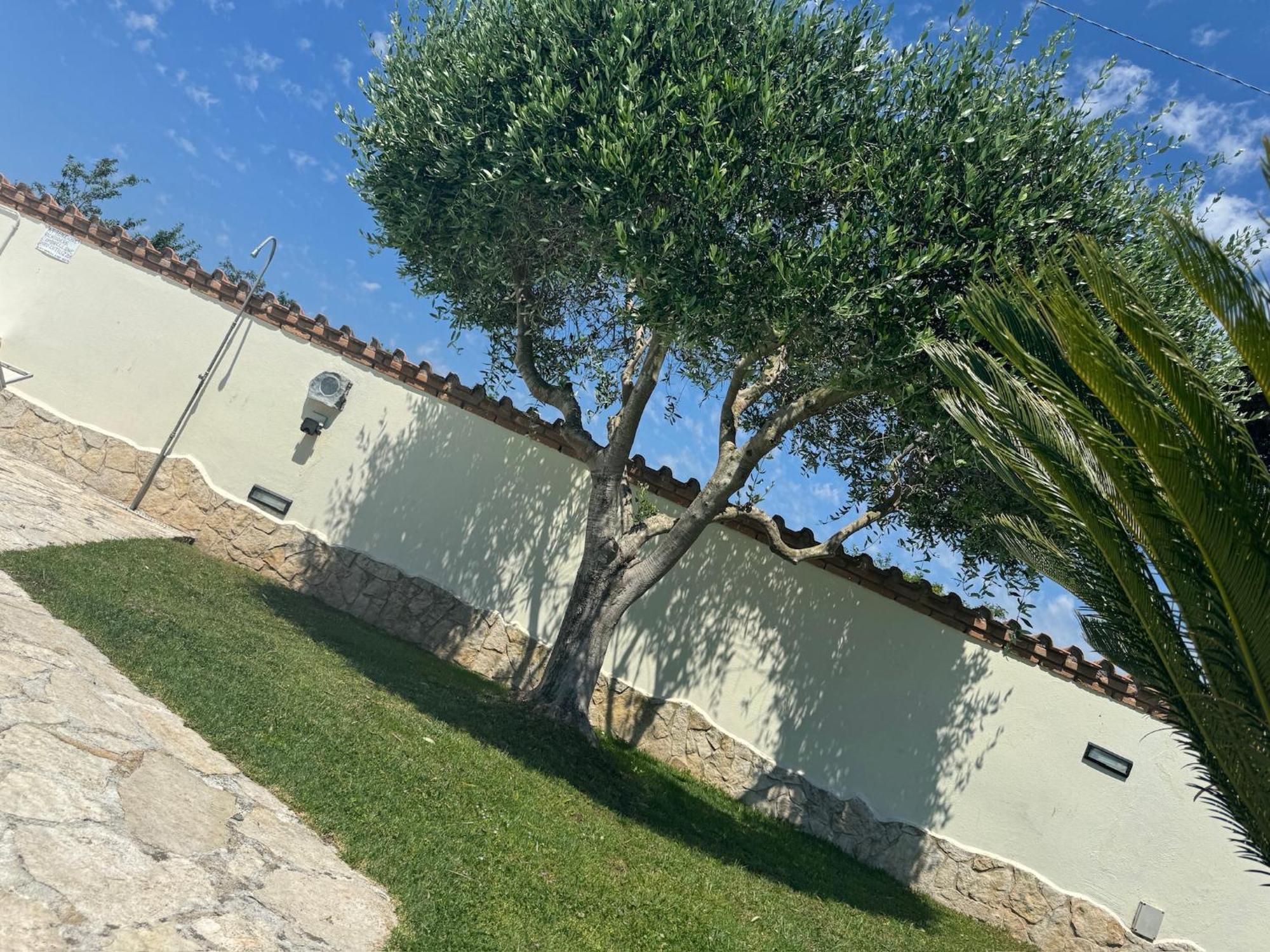 Villa Gold House Luxury Anzio Esterno foto