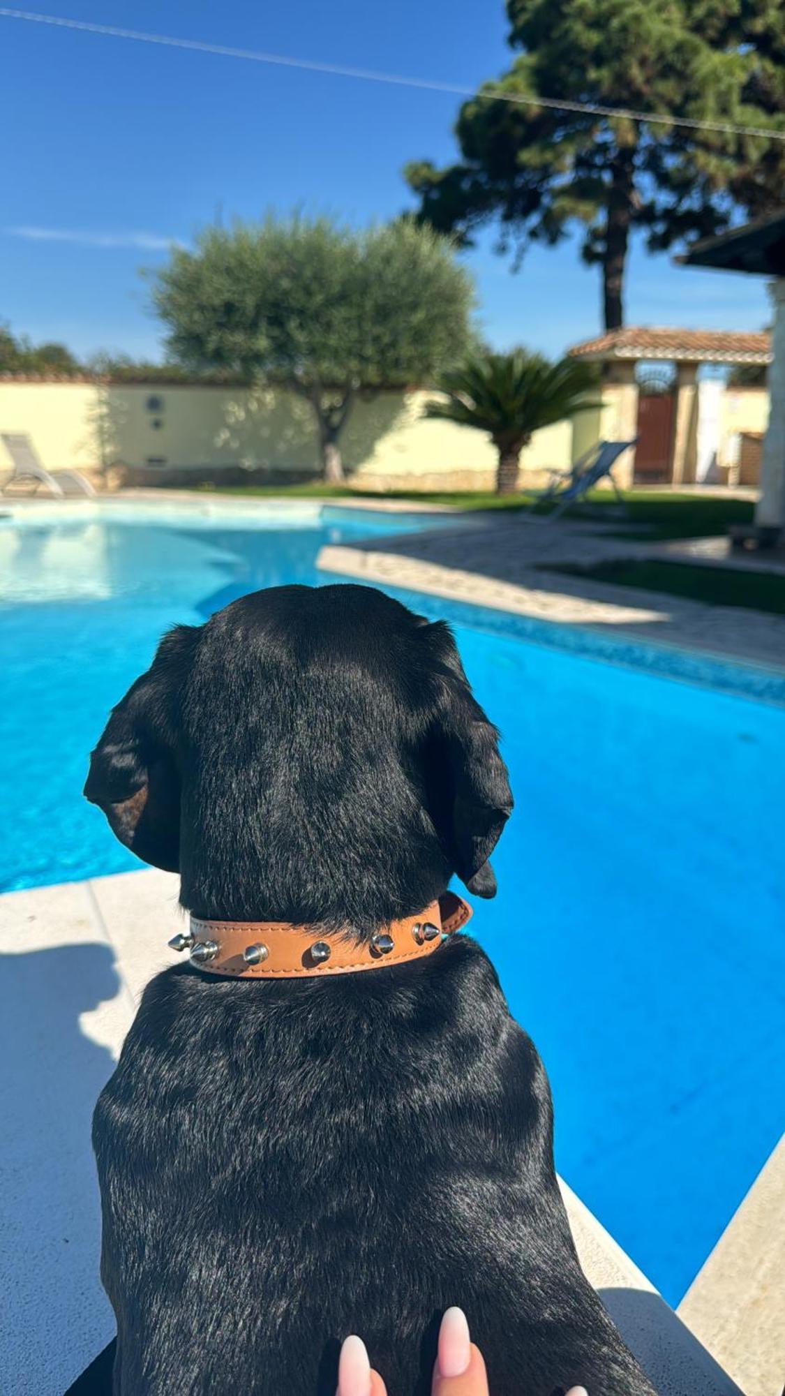 Villa Gold House Luxury Anzio Esterno foto